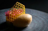昆布締めにしたあん肝のテリーヌと昆布からとったブイヨンのみで構成されるソルベ
鮟鱇の生息水域の温度を表現した
合わせて貴腐ワインを半分まで煮詰めた香り高いジュレと合わせて頂く一皿