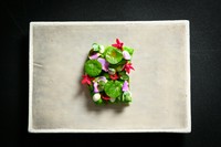 美瑛町の選び抜いた生産者から届く野菜で構成するベジタブルディッシュ
（写真は初夏の豆類を使ってフランス料理の「フランセーズ」に仕立てた一品）