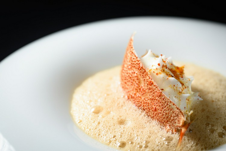 L'ORANGE すすきの/フレンチ | ヒトサラ