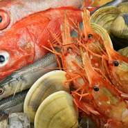 梅津氏自ら市場に出向き、石巻産の魚介を中心に、新鮮な旬の魚介を厳選しています。全国各地から旬の魚介も取り寄せ、四季折々の魚介も豊富。季節によって仕入れる食材が変わり、常に旬のものを提供してくれます。