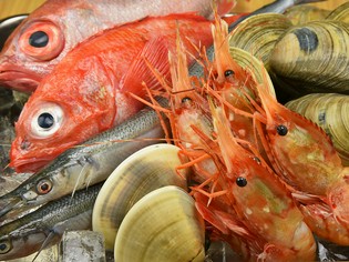 目利きして厳選する新鮮な旬の魚介。旬を味わう贅沢