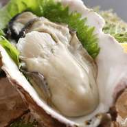最初から最後まで牡蠣を堪能し尽くせる「牡蠣のフルコース」を目当てに、年間を通して多くの牡蠣好きが集います。長寿祝いや節句など、親族で集まっての会食にも最適。畳のテーブル席で、和やかな時を過ごせます。