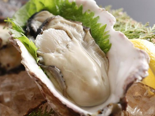 移りゆく季節と共に味わえる、新鮮な岩牡蠣