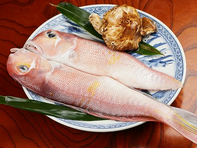 食材にこだわっている