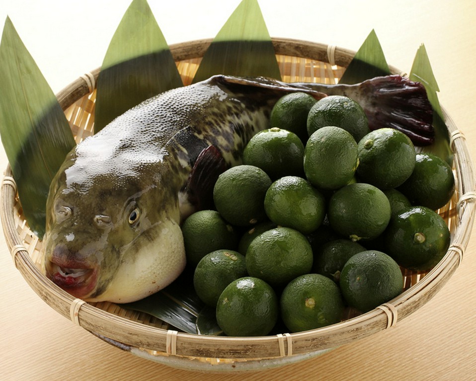 確かな目利きで厳選、匠の技で料理される、フグ・鱧・京都牛