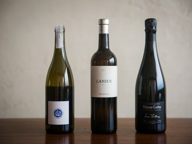 ブルゴーニュとシャンパーニュを中心に自然派や国産ワインも