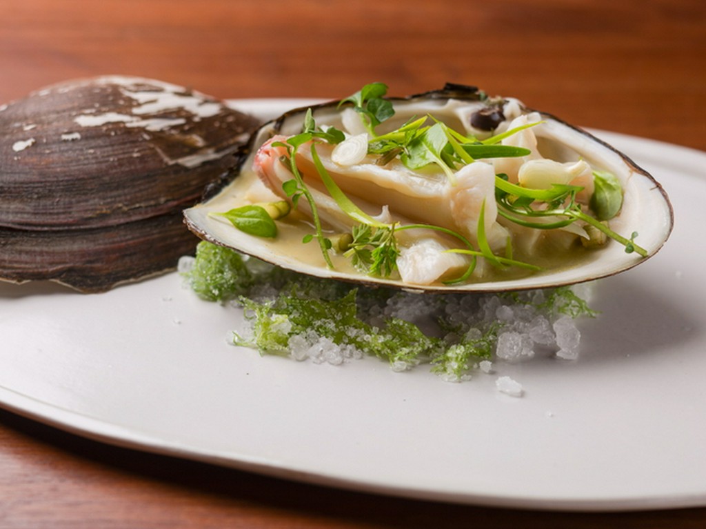 春先のおよそ1ヶ月しか出回らない貴重な三島独活の優しき味わい『本ミル貝 三島独活』