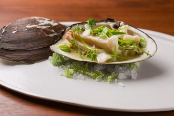 春先のおよそ1ヶ月しか出回らない貴重な三島独活の優しき味わい『本ミル貝 三島独活』