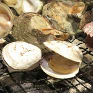 活貝命の老舗水産会社が全国から集めた貝の食べ放題