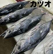 朝獲れ鮮魚、5日、15日、25日解体ショー開催します。
