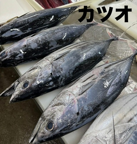 解体ショー