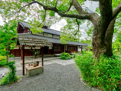 京都南禅寺などを手掛けた「植彌加藤造園」作の庭園