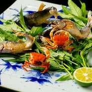 上り鮎のしなやかな素早さ、清らかな水を象徴するサワガニが急流に遊ぶ姿をそのままに、躍動的に表現した初夏の一皿。香り高い鮎塩焼きにはすだちをひと搾り。五感に訴えかける季節感もひとしおです。