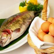 デザートにも料理にも使用される「日本一こだわり卵」は黄身を箸でつかめるほど新鮮で濃厚な活力ある卵。「神鍋清流サーモン」はポワレで素材の滋味を堪能できます。使用する食材は、世界各国から厳選しています。