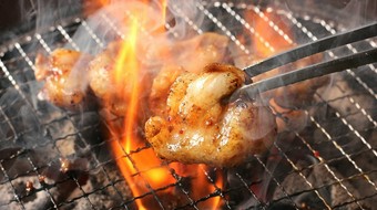 【炭火ホルモン】の看板に恥じない自信の一品！脂たっぷり、プリップリの『牛ホルモン』