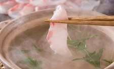 メインでは春に脂がのる日本海の真鯛
地元野菜と一緒にしゃぶしゃぶ！
特製の胡麻ダレポン酢で召し上がれ
