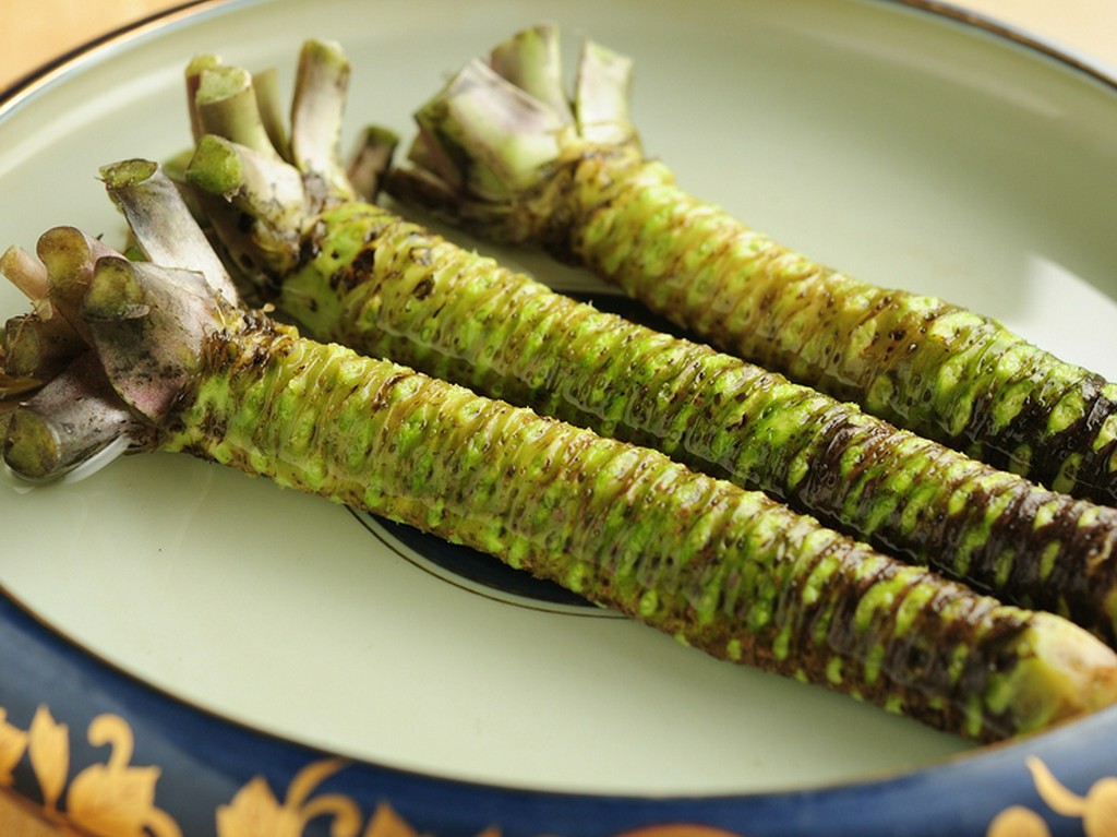 湧き水で2年ほどの歳月をかけて栽培された、御殿場産の生わさび