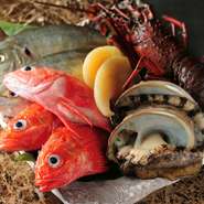 「神戸ビーフ」と並ぶお店のお勧め食材が、豊洲から直接仕入れる新鮮な「魚介」。旬にあわせて仕入れる上質な「魚介」を、素材の旨味を最大限に引き出す鉄板焼きで供してくれます。