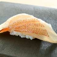 昆布〆された鯛の稚魚『春子』。淡い桜色をした、品のある佇まい。成長した鯛とは異なる、歯ごたえ・味わいが楽しめます。