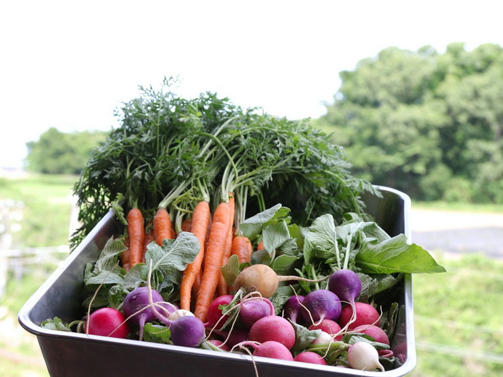 鉾田市の契約農家より届けられる野菜