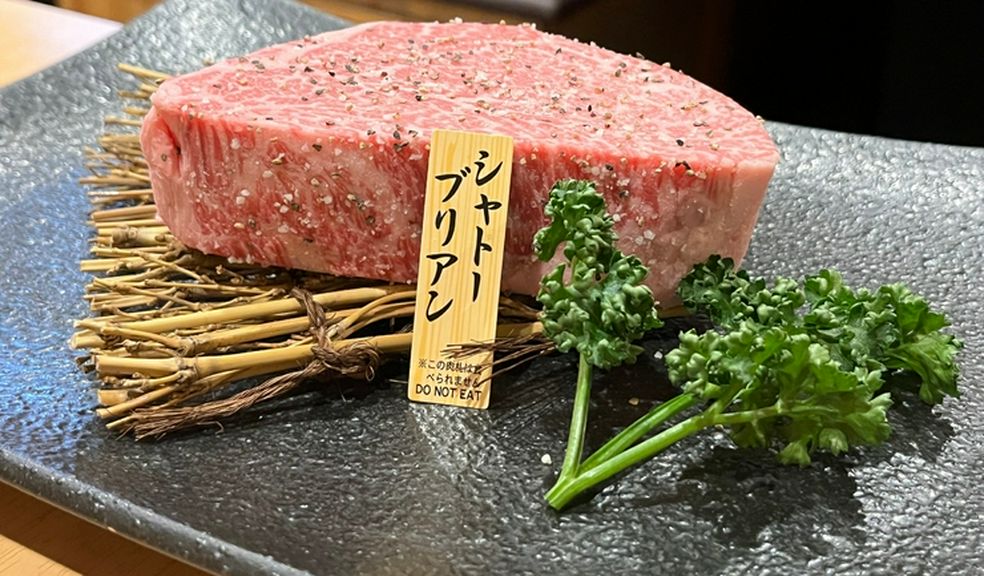 国産最高ランク厳選A5MAX12黒毛和牛シャトーブリアン