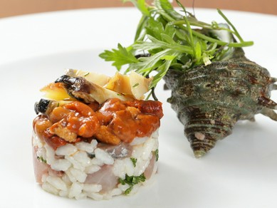 伊豆のサザエと地魚、北海道厚岸産のウニを使用した、イタリア産カルナローリ米の漁師風サラダ