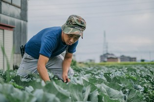 田園風景広がる伏見で獲れる、美味しいお米と野菜