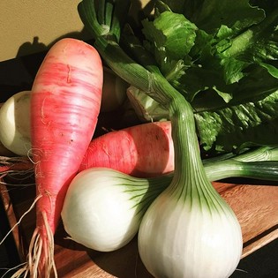 皆に安心を届けるため、環境保全型農業を推進