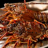 市場から仕入れた活きのいい伊勢海老は、そのまま店内の水槽で鮮度を保ったまま、オーダー時に豪快に調理されます。水槽にはその他、あわびもあり、ステーキとして食べれます。