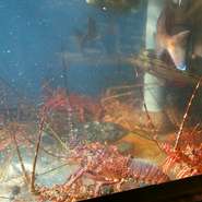 「伊勢エビ」や「メバル」「タイ」など地元で獲れた上質な魚介を仕入れ。魚のプロが選りすぐった新鮮なものばかりで、食べれば納得の美味しさです。注文が入ってから取り出しているので、新鮮な味わいを楽しめます。