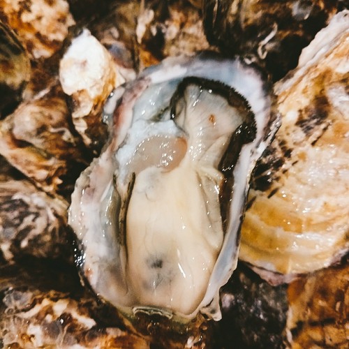 贅沢な食材を使ったコースに対応。大人のわがままを叶えてくれる