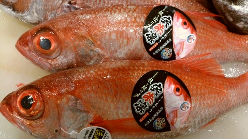 鮮度抜群の魚介類が豊富。さまざまな調理法で提供