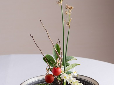 見た目にも華やかな『季節の木々で彩ったアミューズ』