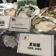 ※下記より“調理法”をお選び下さい。