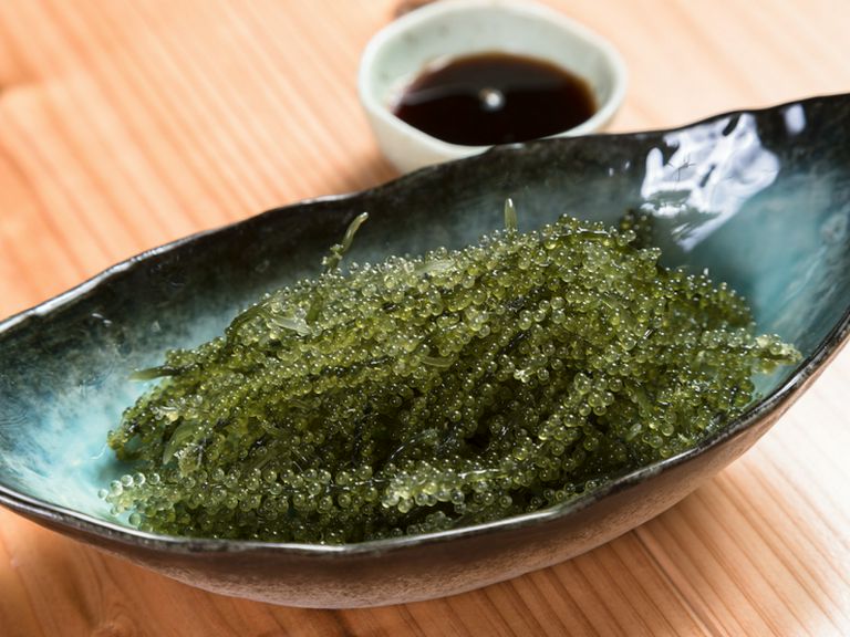 海ぶどう