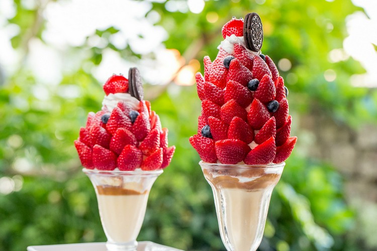 レ・ボ・プロヴァンス 西脇/カフェ ネット予約可 | ヒトサラ