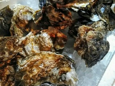 牡蛎で夏バテ予防！