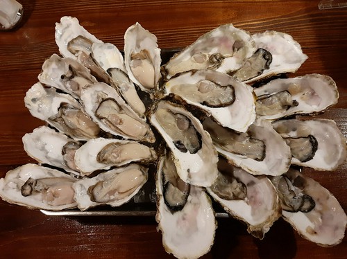 その時の最旬なオイスターを厳選