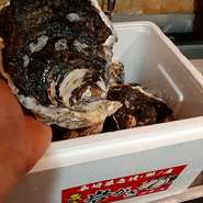 季節ごとに旬の牡蛎が厳選して仕入れられるので、一年を通して『生牡蛎』を味わえるのが嬉しいところ。濃厚なクリーミーさがたまらない逸品です。まずはレモンで、その後は3種のソースで味わうのがおすすめ。