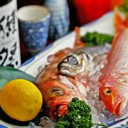 全国からその時季に美味しい鮮魚を厳選『お造り5種盛り合わせ』