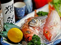 全国からその時季に美味しい鮮魚を厳選『お造り5種盛り合わせ』