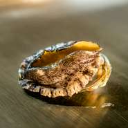 大ぶりで肉厚のアワビを鉄板焼に。柔らかくコリコリとした食感が楽しめます。季節によってソースが異なり、行く度に違った味に出会えるハズ。好みにも合せてくれるため、気軽に相談してみるのもおすすめです。