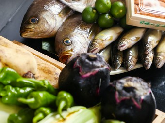 四季の味覚に酔いしれる『季節のコース』