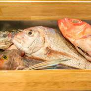 主に愛知・三重のもの、特に地の物を中心に使われていますが、あまり産地にこだわることなく、良い食材は取り入れているとか。食材の幅を持たせ、自由な料理を心がけています。