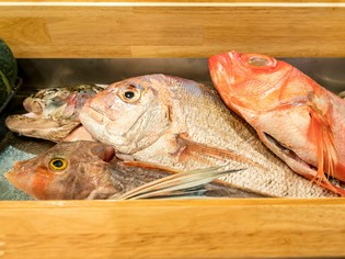 食材の産地にこだわらず、良い食材で料理をつくる