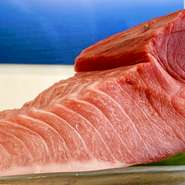 【前日迄要予約】日本一の黒潮本まぐろを堪能!! 大月コース (2名様～)