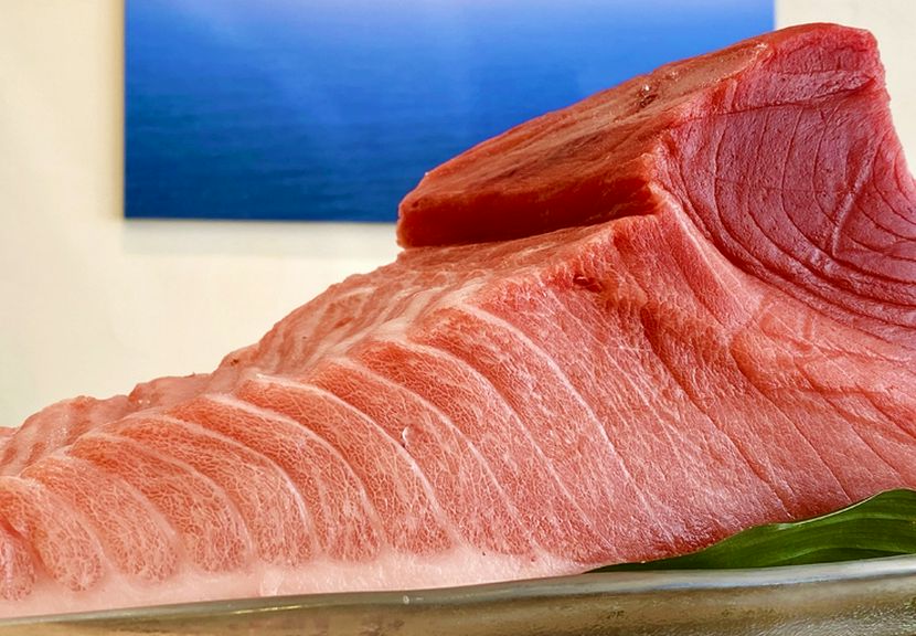 黒潮本まぐろ　腹