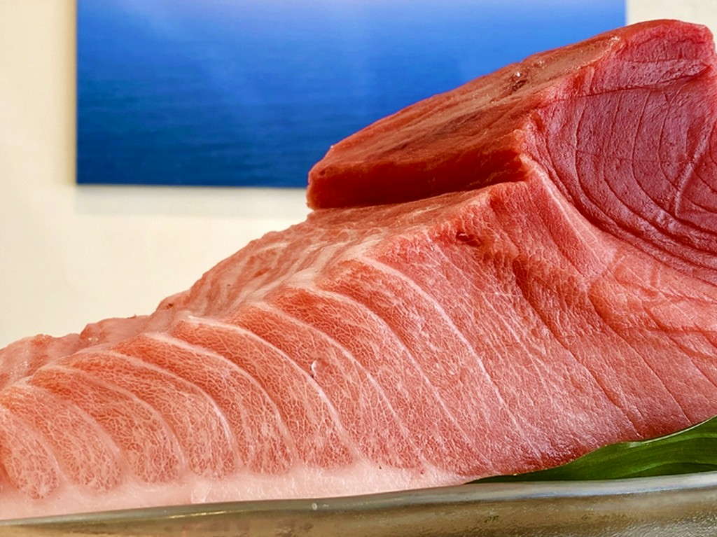 黒潮本まぐろ　腹