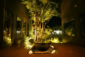 ※夜営業も致しております。 (ランチも通常営業致しております)