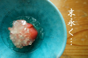 [前日迄要予約]末永く… お食い初め等のお祝い事に♪ きすけの祝宴コース